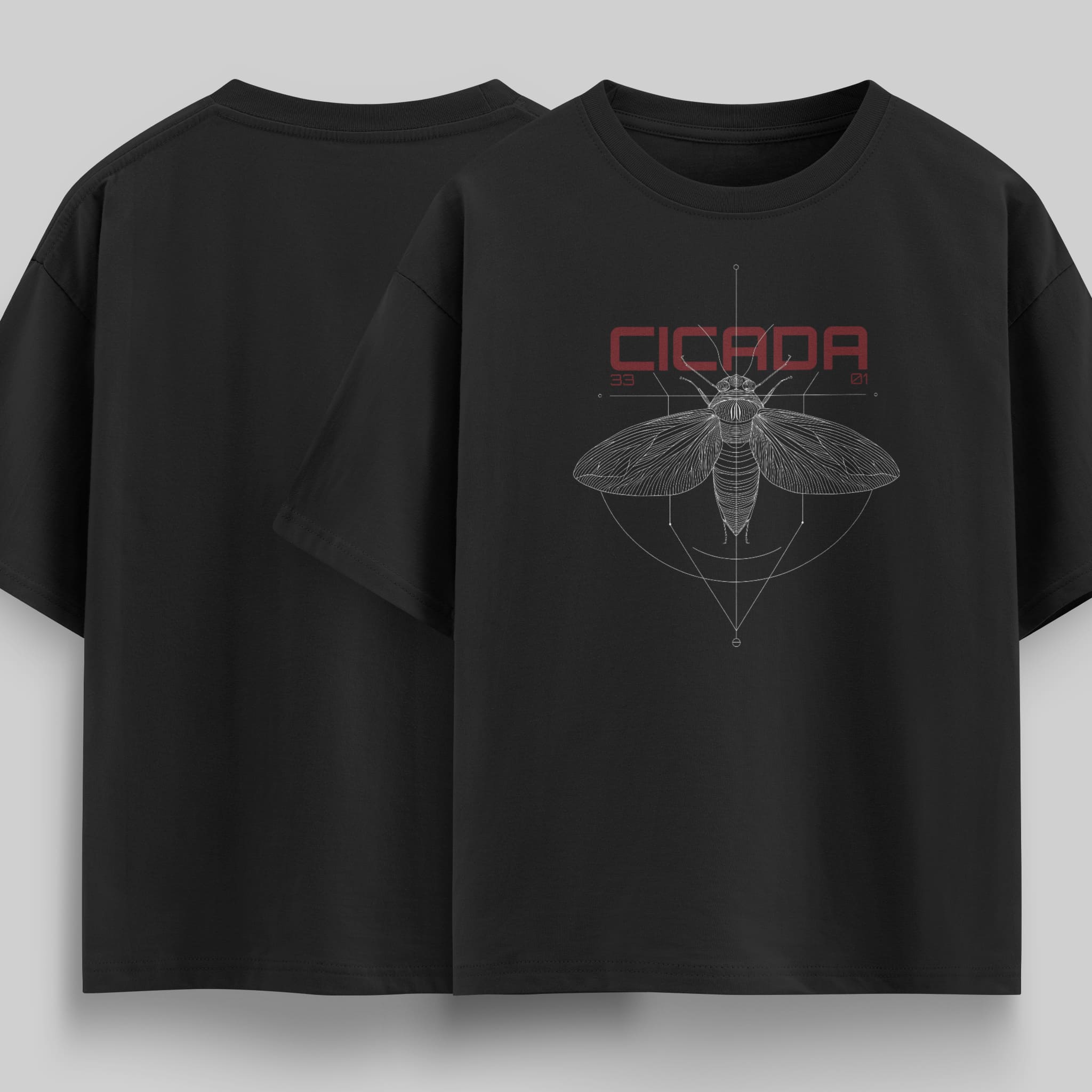 Cicada 3301 - vvicked 